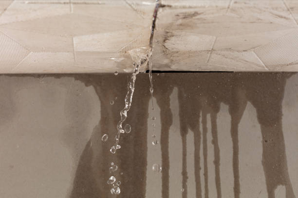 Professional Structural Drying technician working in Arcadia, WI